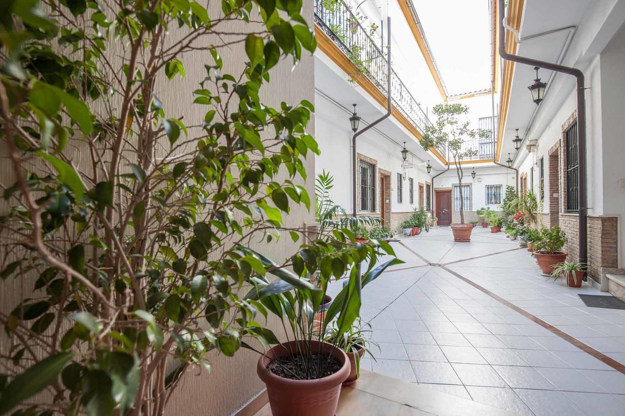 Maravilloso Duplex En Escoberos Séville
